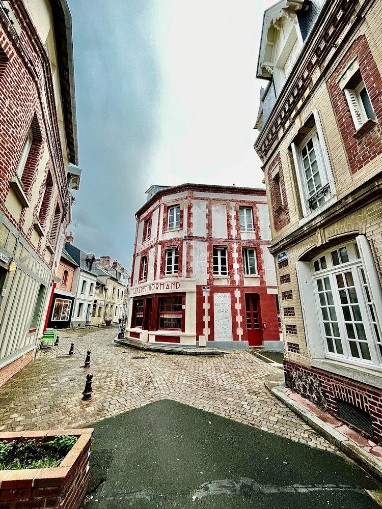 Vincent levaique delirium du singe hivernale